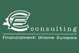 CF CONSULTING