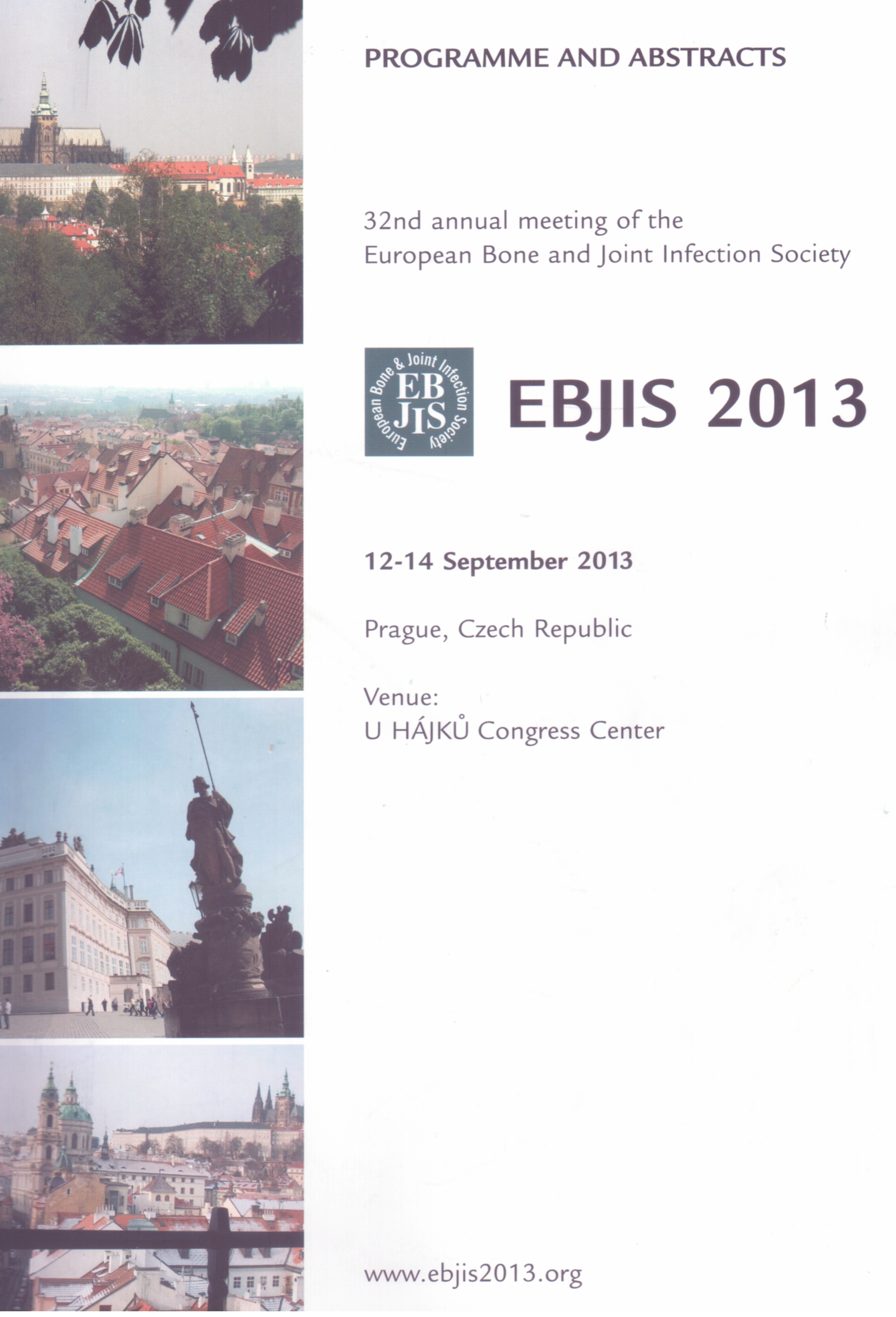 EBJIS 2013