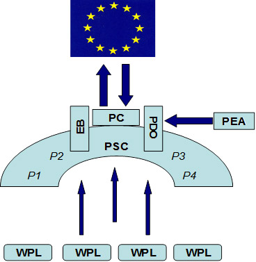 Management Structure